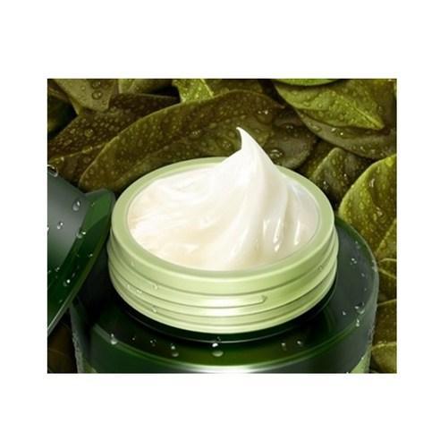 TONYMOLY The Chok Chok Green Tea Watery Moisture Cream 100ml - KBeauti