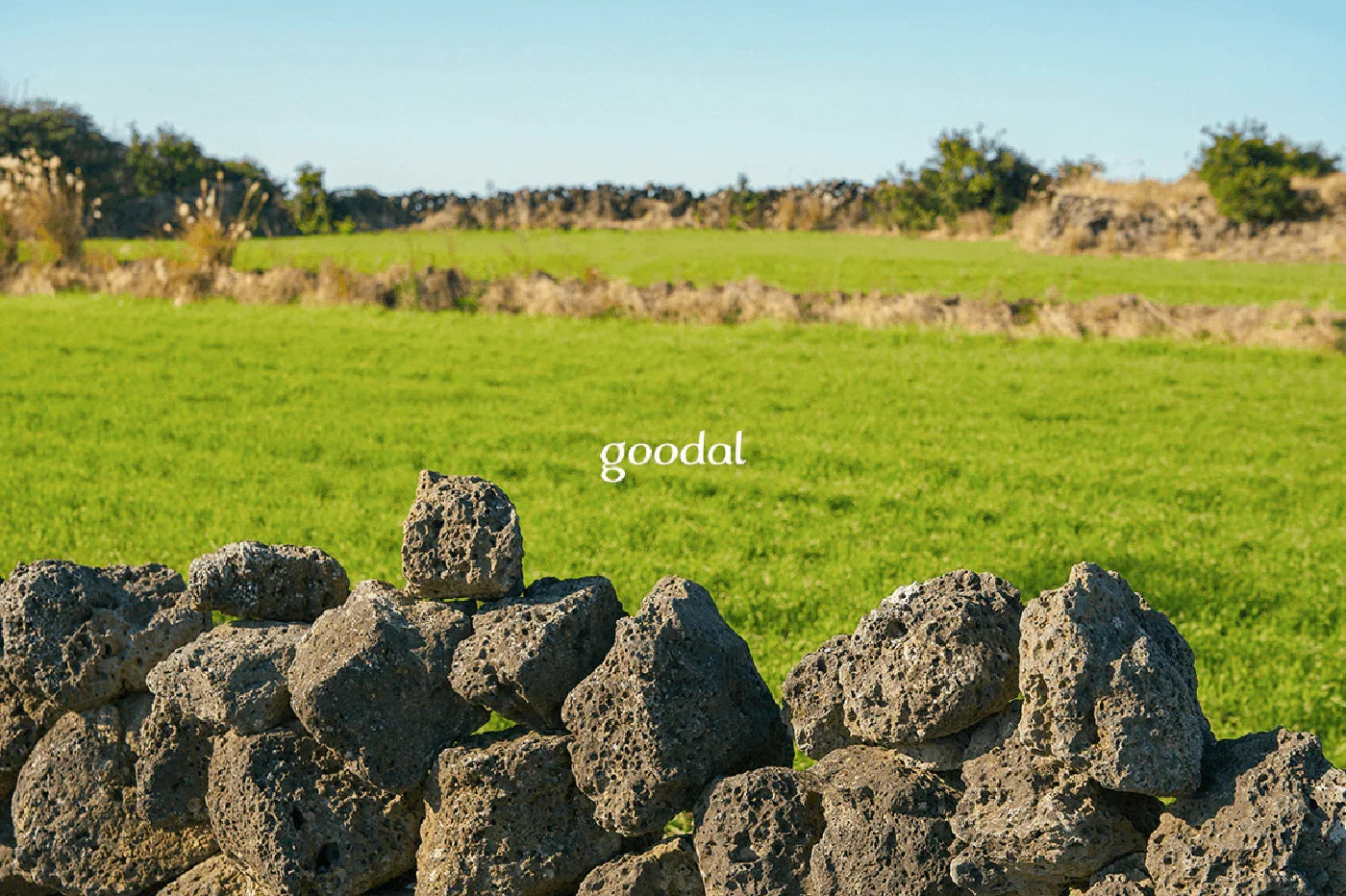 Goodal