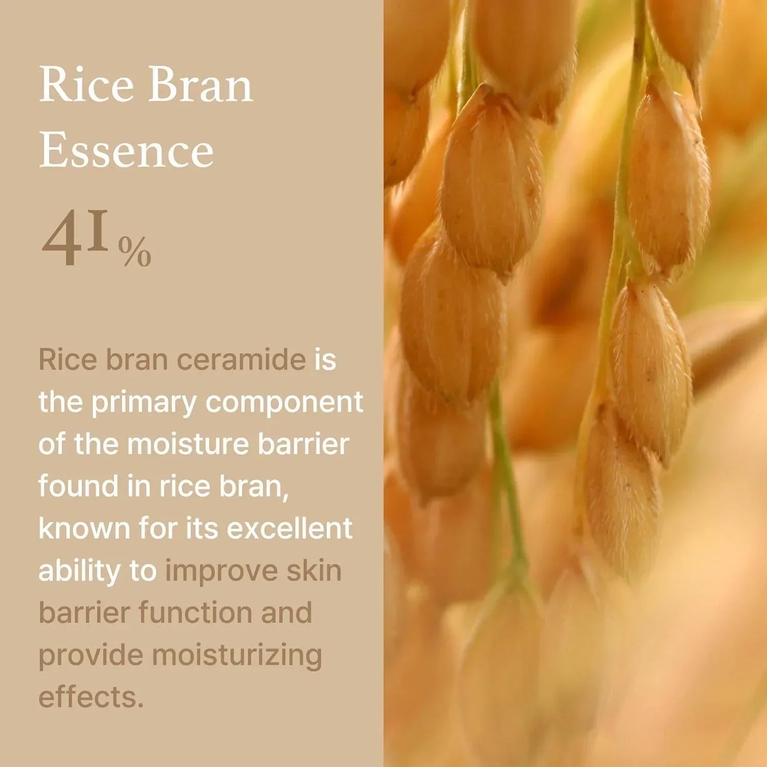 [ImFrom] Rice Cream 50g