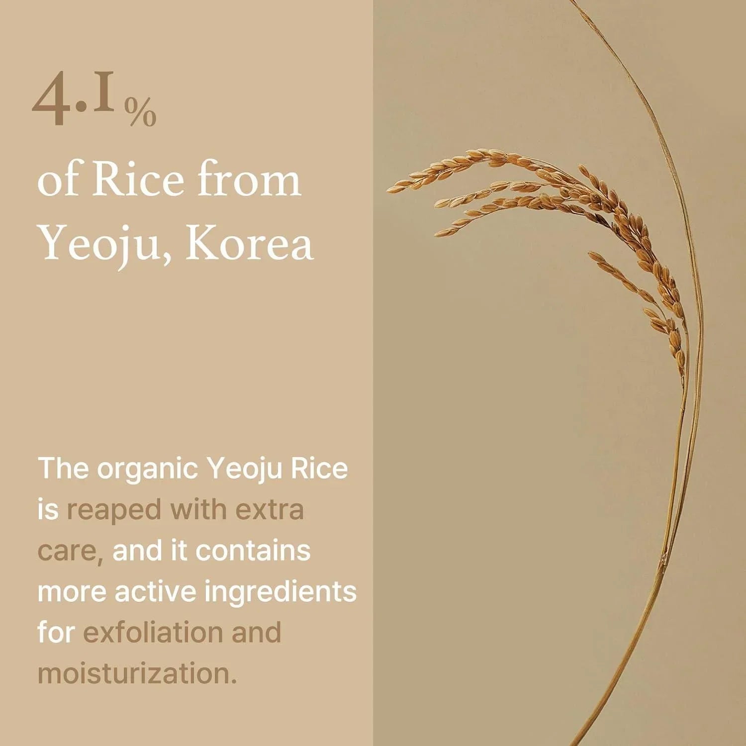 [ImFrom] Rice Mask 110g