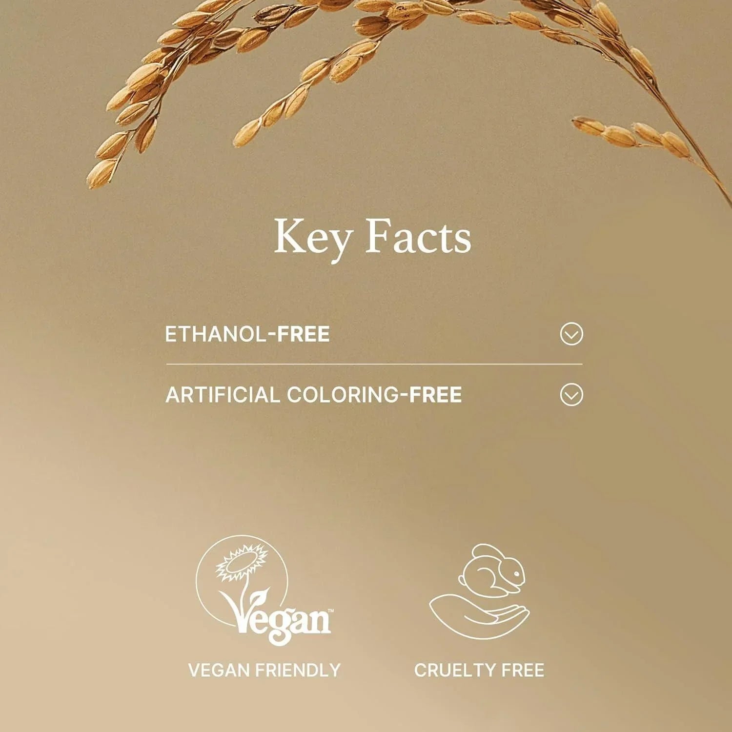 [ImFrom] Rice Mask 110g
