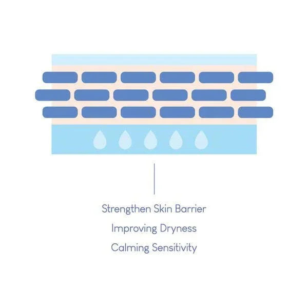 [Purito] Dermide Cica Barrier Sleeping Pack 80ml