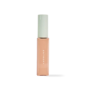 [ENTROPY] ORGANZA FIT SPATULA FOUNDATION #25.3