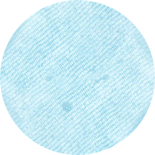 [Isntree] Ultra-Low Molecular Hyaluronic Acid Zinc Cooling Pad 150ml 60ea