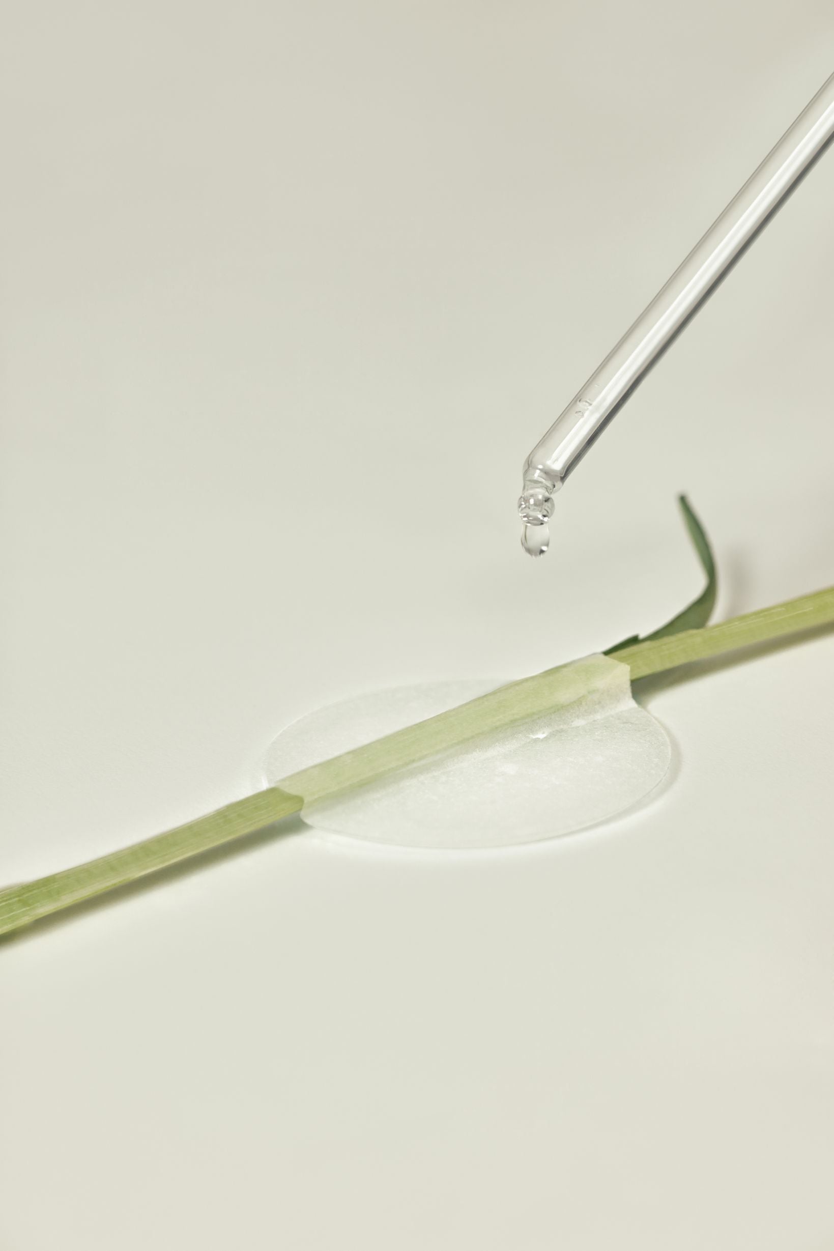 [THE LAB By BLANC DOUX] Green Flavonoid™ 2.5 Pad 120g (90p)