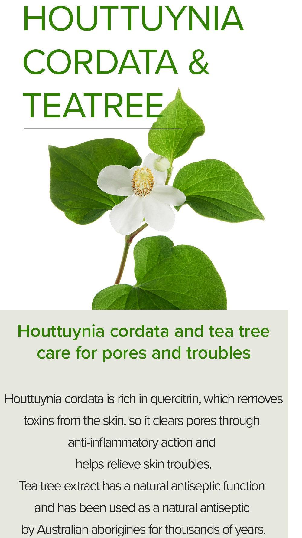 [MARY&MAY] Houttuynia Cordata +Tea Tree Serum - 30ml - KBeauti