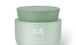 Hanyul Pure Artemisia Watery Calming Cream 50ml - KBeauti